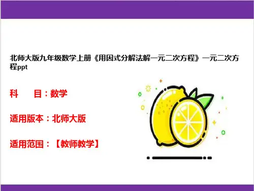 北师大版九年级数学上册《用因式分解法解一元二次方程》一元二次方程ppt