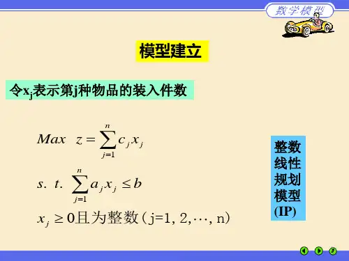 典型的整数线性规划问题
