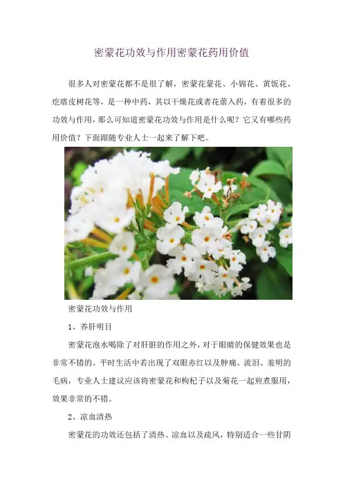 密蒙花功效与作用 密蒙花药用价值