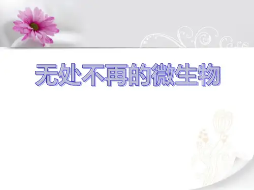 《无处不在的微生物》PPT课件