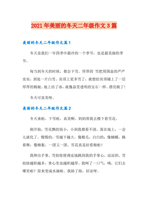 2021年美丽的冬天二年级作文3篇