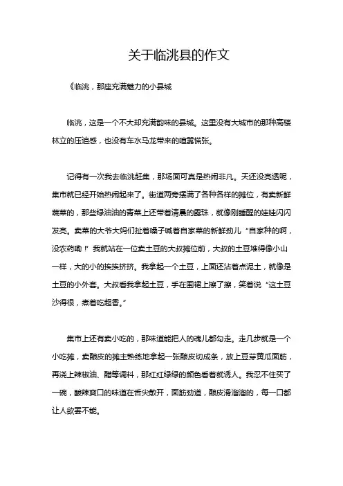 关于临洮县的作文