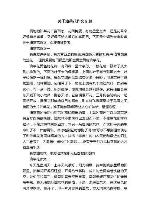 关于油菜花作文5篇