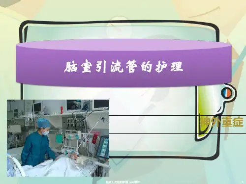 脑室引流管的护理 ppt课件