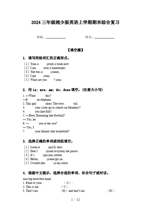 2024三年级湘少版英语上学期期末综合复习