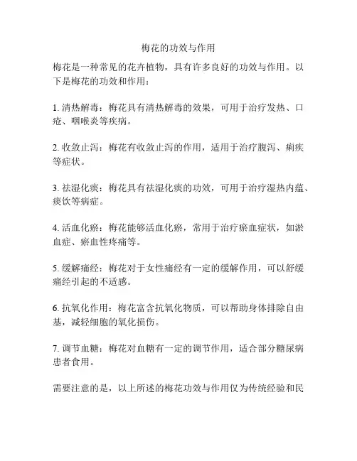 梅花的功效与作用
