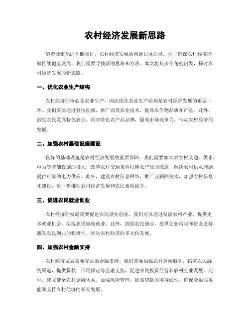 农村经济发展新思路