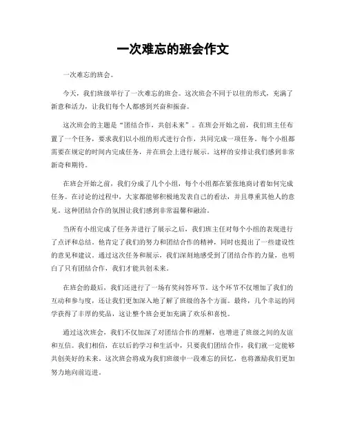 一次难忘的班会作文