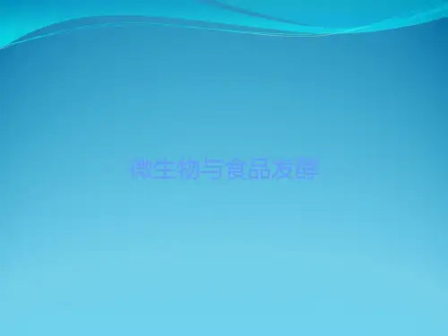 微生物与食品发酵