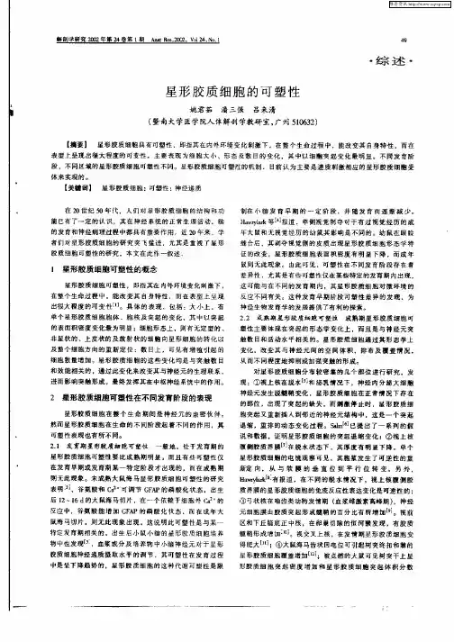 星形胶质细胞的可塑性