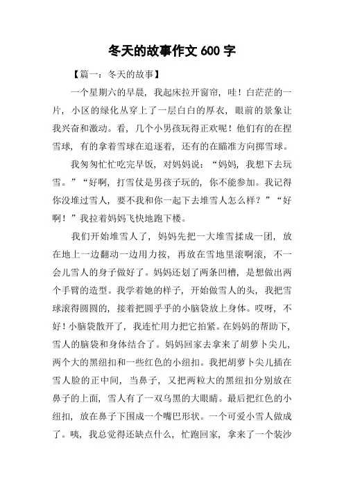 冬天的故事作文600字
