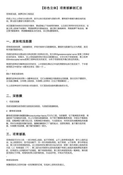 【彩色立体】项背部解剖汇总