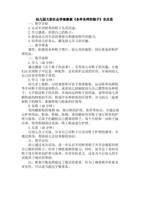 幼儿园大班社会详案教案《各种各样的鞋子》含反思