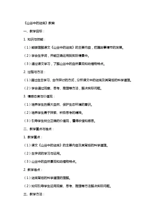 《山谷中的谜底》教案