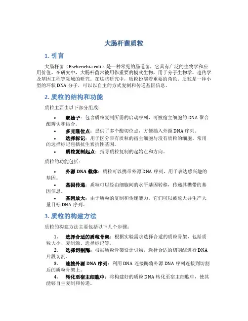 大肠杆菌质粒