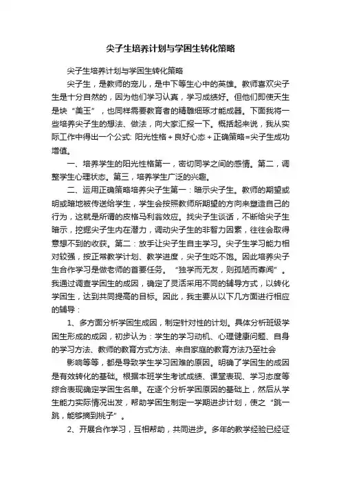 尖子生培养计划与学困生转化策略