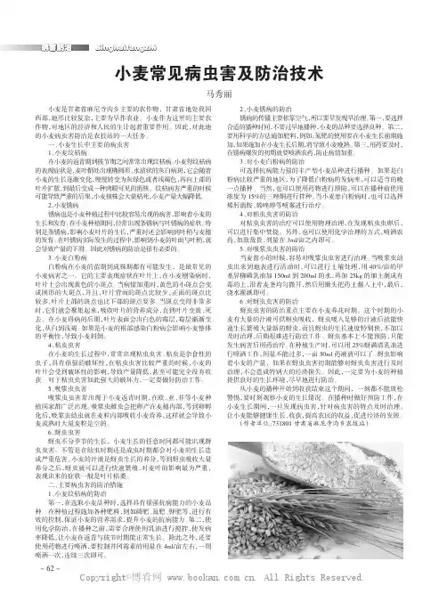 小麦常见病虫害及防治技术