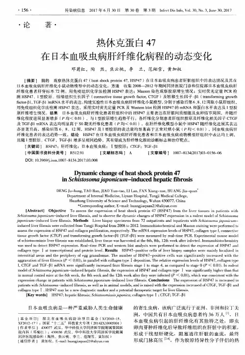 热休克蛋白47在日本血吸虫病肝纤维化病程的动态变化
