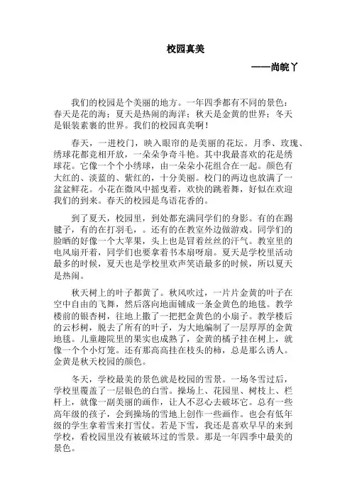 《校园真美》