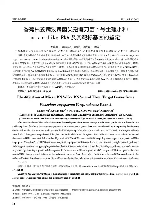 香蕉枯萎病致病菌尖孢镰刀菌4号生理小种micro-like RNA及其靶标基因的鉴定