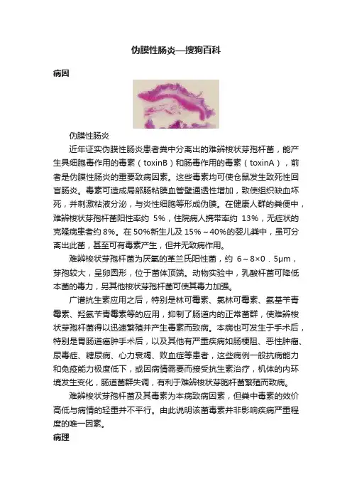 伪膜性肠炎—搜狗百科