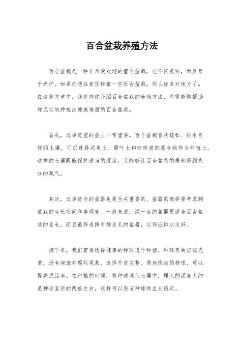 百合盆栽养殖方法