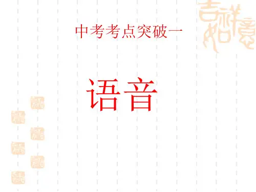 中考语文复习：拼音 (1)