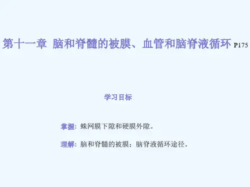 解剖学基础《脑和脊髓的被膜、血管和脑脊液循环》PPT课件