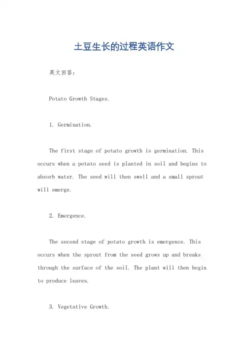 土豆生长的过程英语作文
