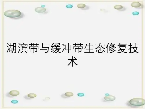 湖滨带与缓冲带生态修复技术