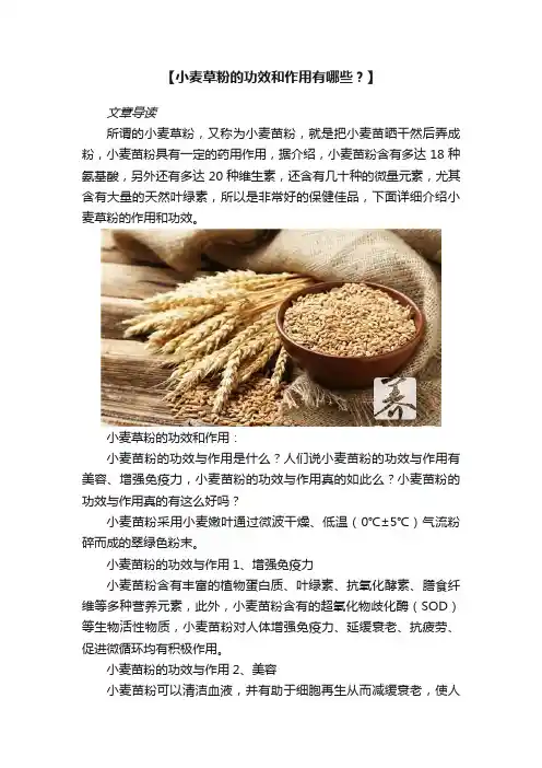 【小麦草粉的功效和作用有哪些？】