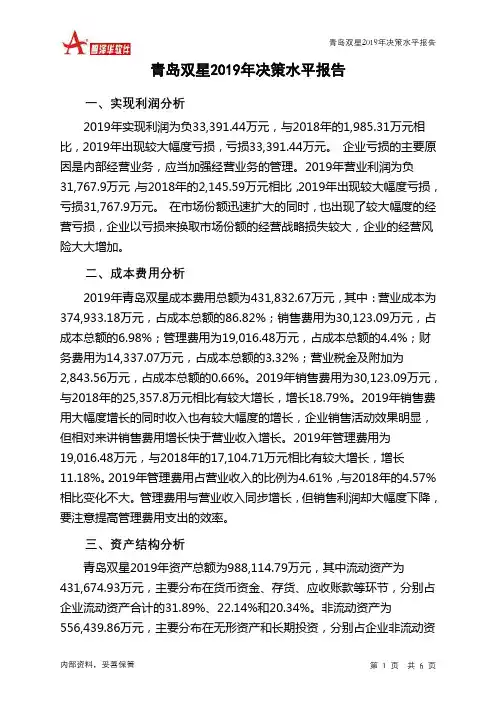 青岛双星2019年决策水平分析报告