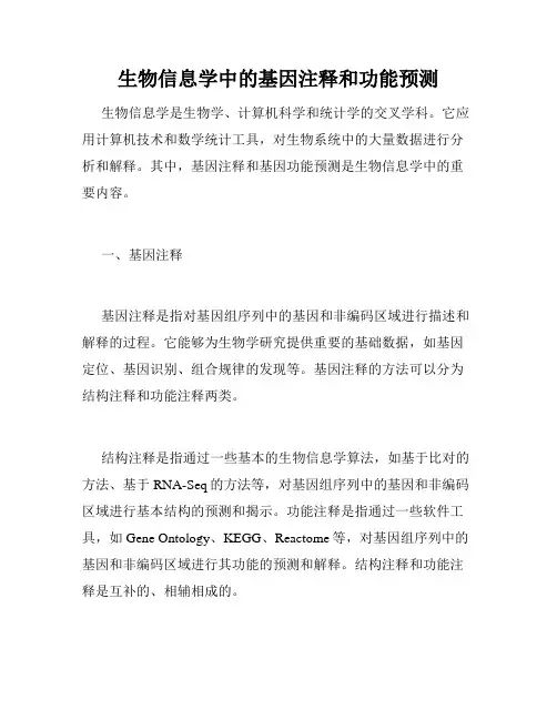 生物信息学中的基因注释和功能预测
