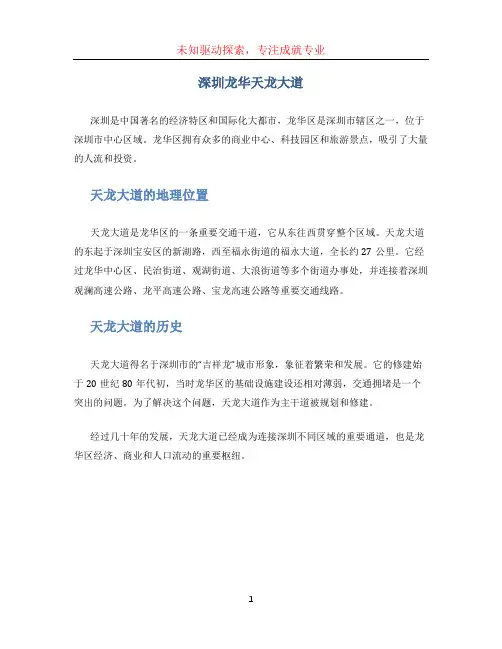 深圳龙华天龙大道[001]