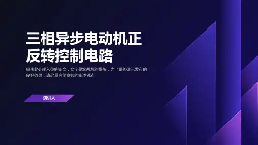 三相异步电动机正反转控制电路