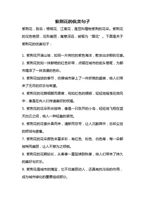 紫荆花的优美句子