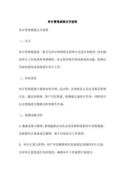 审计管理系统文字说明