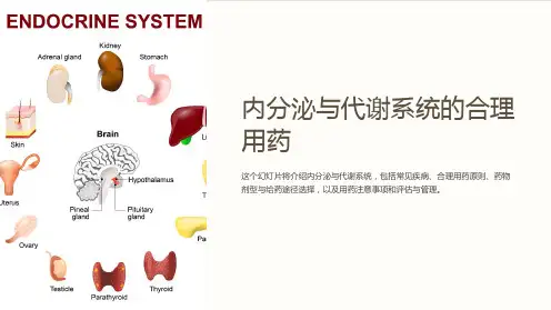 内分泌与代谢系统的合理用药