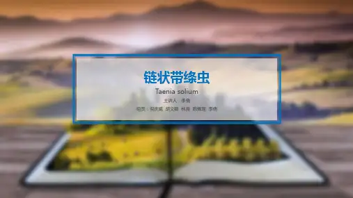 猪带绦虫ppt
