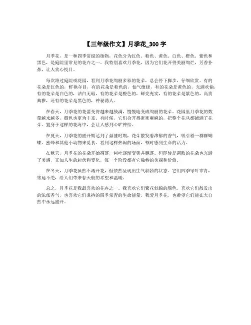 【三年级作文】月季花_300字