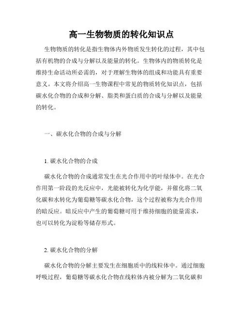高一生物物质的转化知识点
