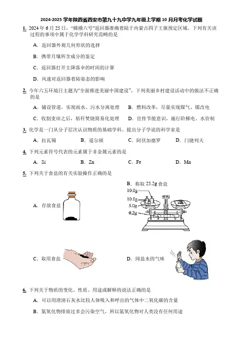 2024-2025学年陕西省西安市第九十九中学九年级上学期10月月考化学试题