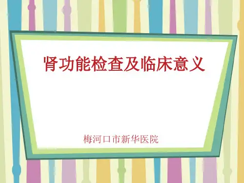 肾功能检查及临床意义-2015版