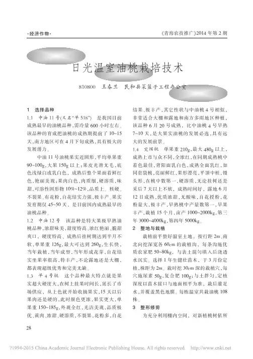 日光温室油桃栽培技术