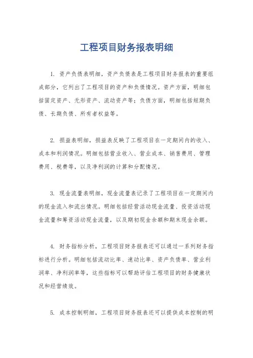 工程项目财务报表明细