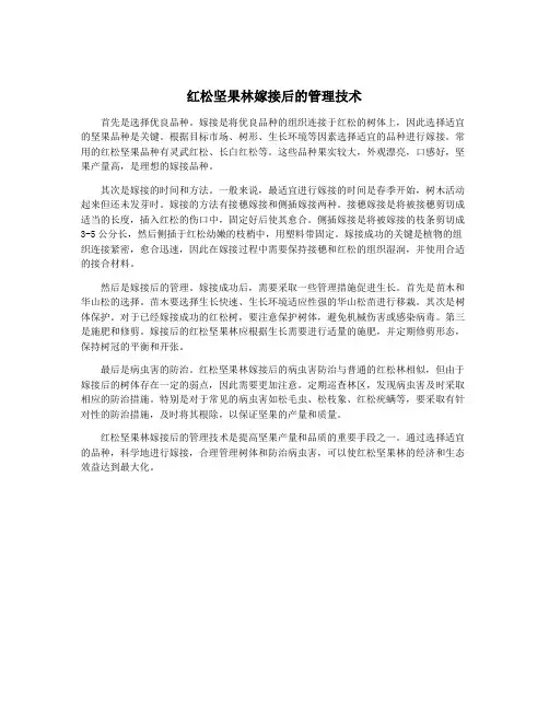 红松坚果林嫁接后的管理技术