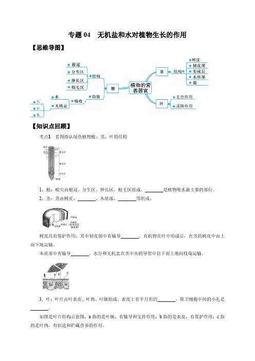 2022年中考科学微专题复习 专题04 无机盐和水对植物生长的作用(教师版含解析)