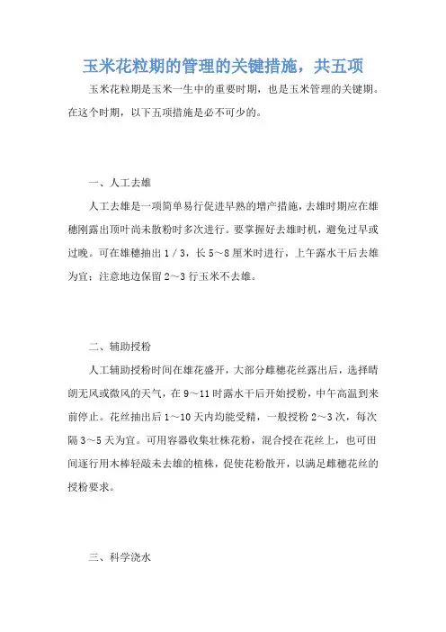 玉米花粒期的管理的关键措施,共五项