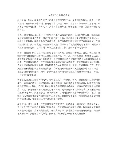 年度工作计划评价意见
