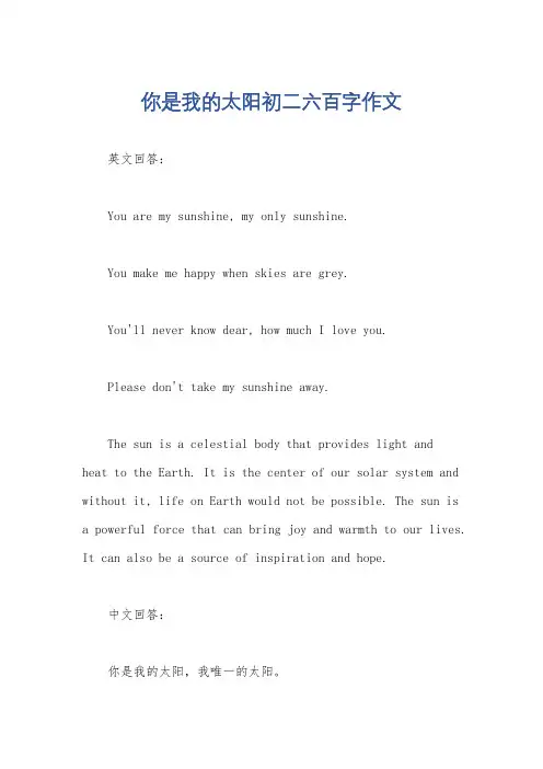 你是我的太阳初二六百字作文